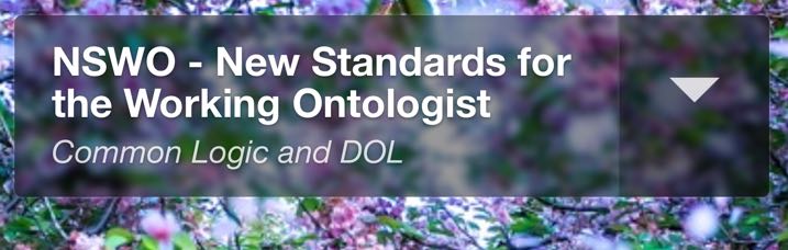 NSWO___NSWO_-_New_Standards_for_the_Working_Ontologist